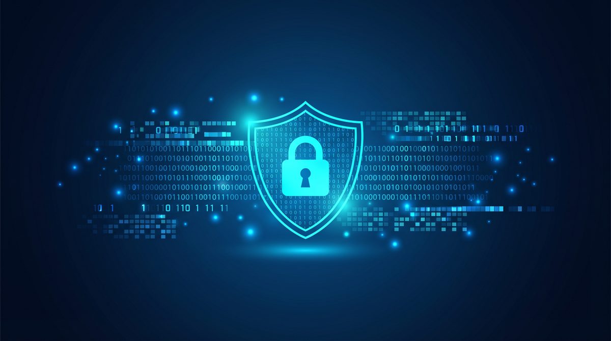 蜂鴅加速器隐私安全保护